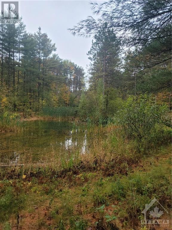 3090 Bouvier Road, Hammond, Ontario  K0A 2A0 - Photo 15 - 1364295