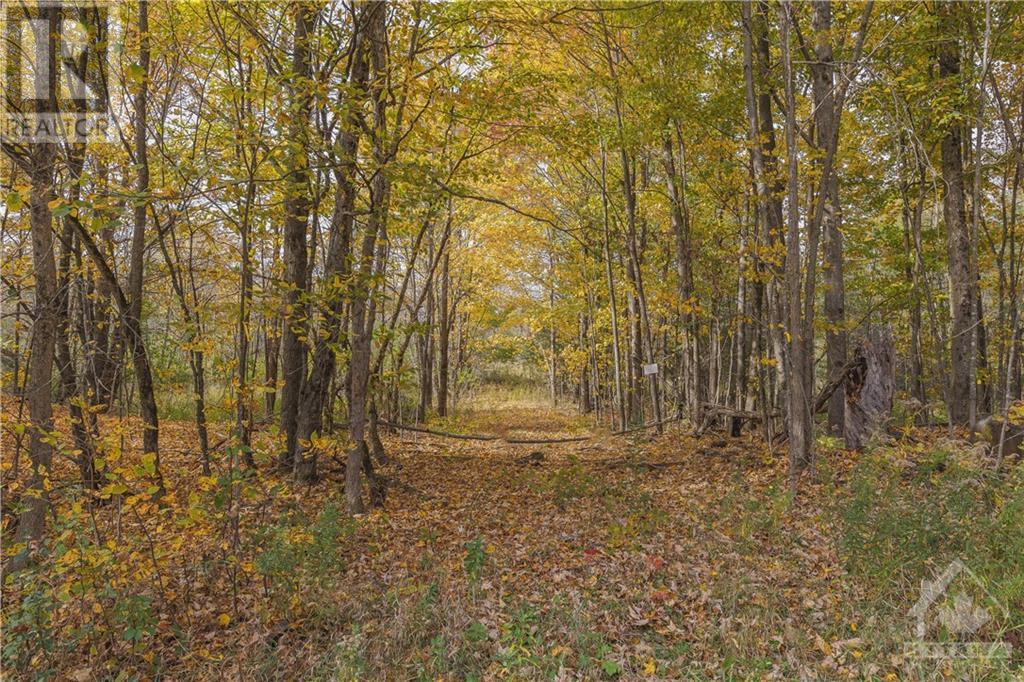 Lot 7 10th Concession B Road, Lanark Highlands, Ontario  K0A 1A0 - Photo 11 - 1363039