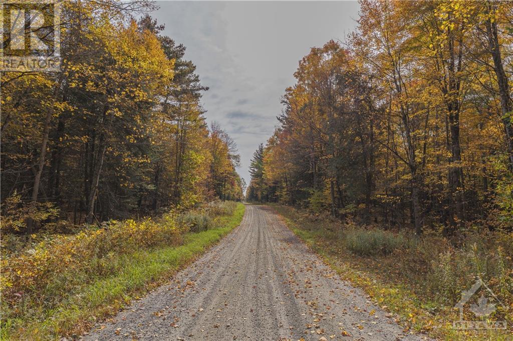 Lot 7 10th Concession B Road, Lanark Highlands, Ontario  K0A 1A0 - Photo 6 - 1363039