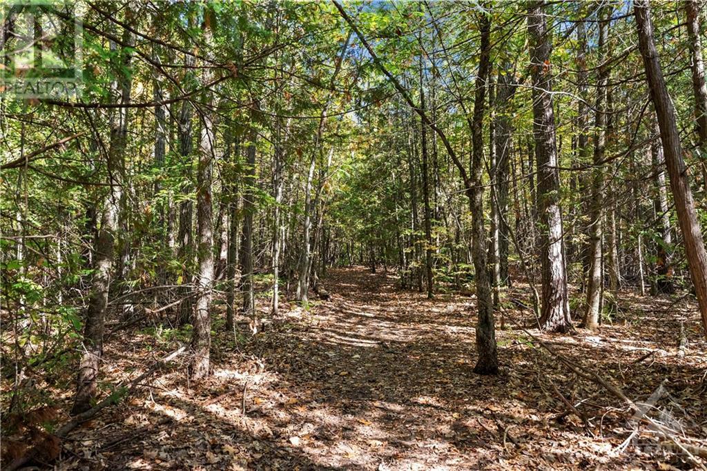 01 Braecrest Avenue, Braeside, Ontario  K0A 1G0 - Photo 23 - 1365092