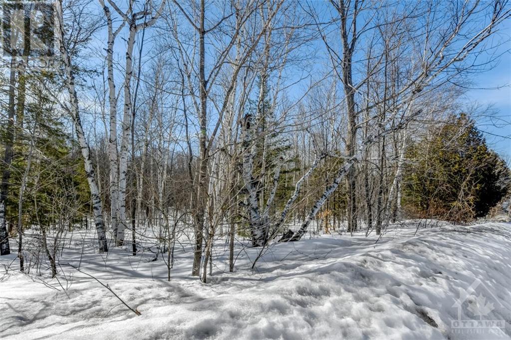 Old Fire Tower Road, Greater Madawaska, Ontario  K7V 3Z7 - Photo 11 - 1365520