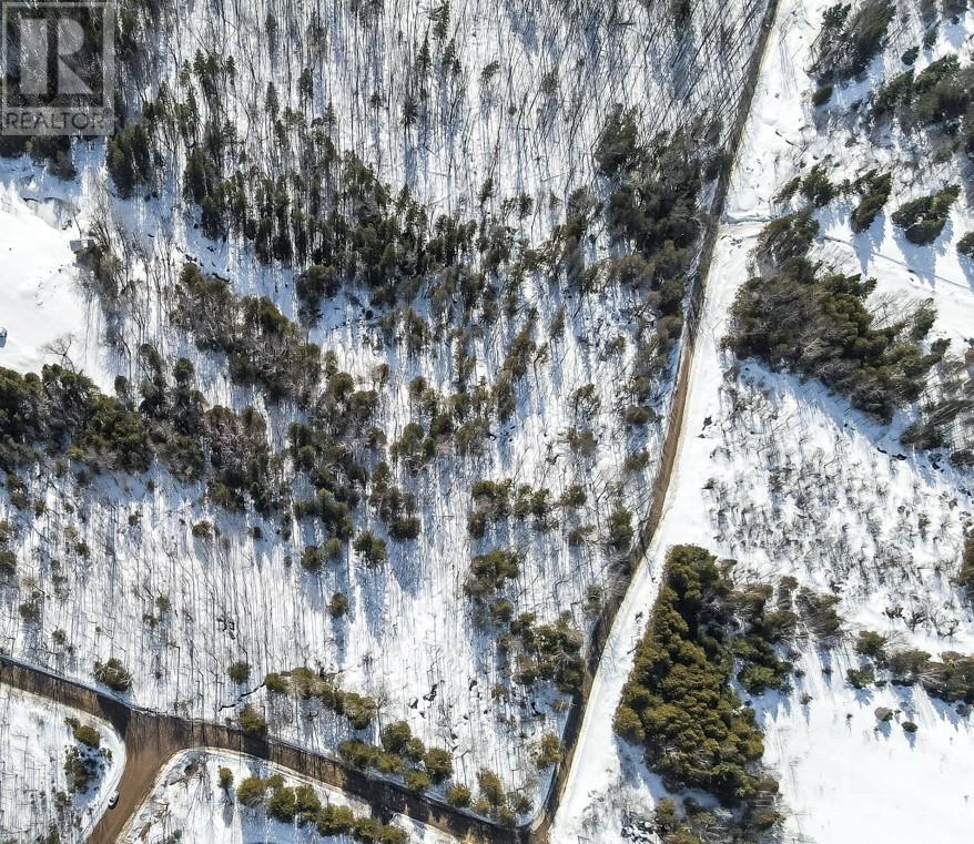 Old Fire Tower Road, Greater Madawaska, Ontario  K7V 3Z7 - Photo 8 - 1365520