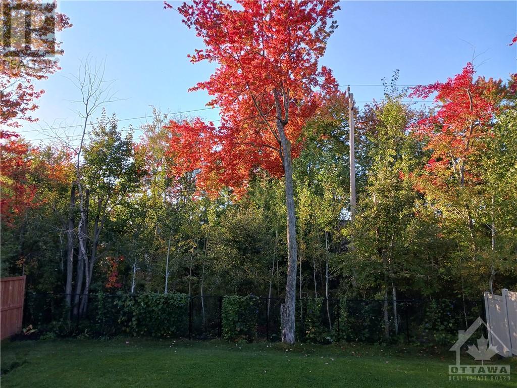 166 Pioneer Road, Russell, Ontario  K4R 0C9 - Photo 2 - 1365762