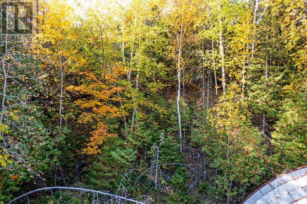 102a Iron Mine Road, Lanark, Ontario  K0G 1K0 - Photo 23 - 1366080