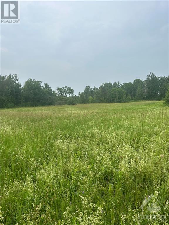 18999 Concession Rd 1 Road, Apple Hill, Ontario  K0C 1B0 - Photo 4 - 1366158