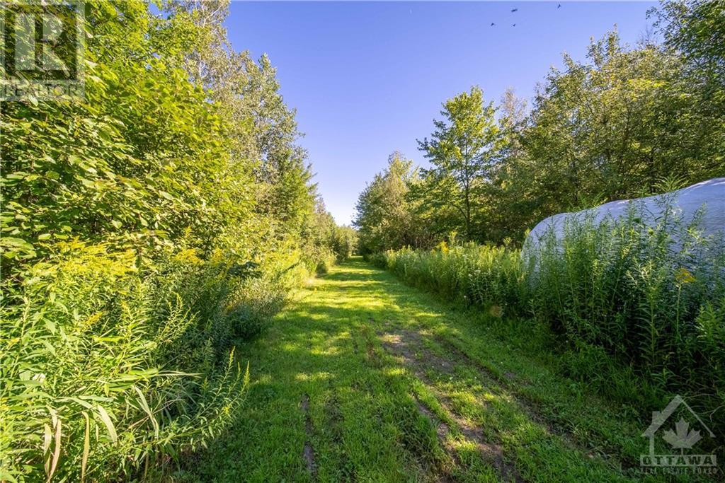 1373 Lacroix Road, Casselman, Ontario  K0A 1M0 - Photo 30 - 1366619