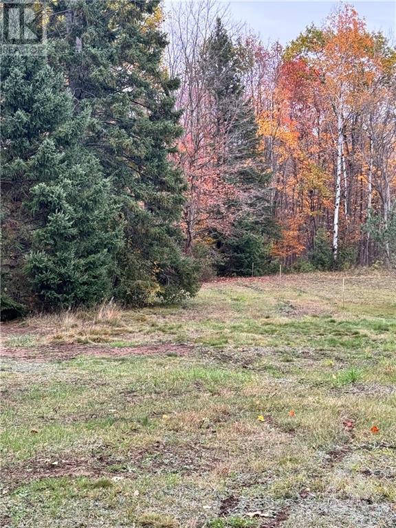 394 Craig Road, Oxford Station, Ontario  K0A 1G0 - Photo 9 - 1366496