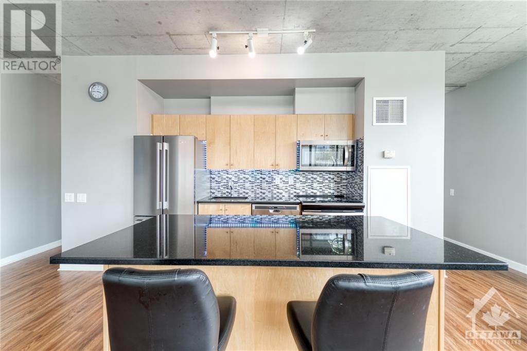 180 York Street Unit#308, Ottawa, Ontario  K1N 1J6 - Photo 12 - 1367559
