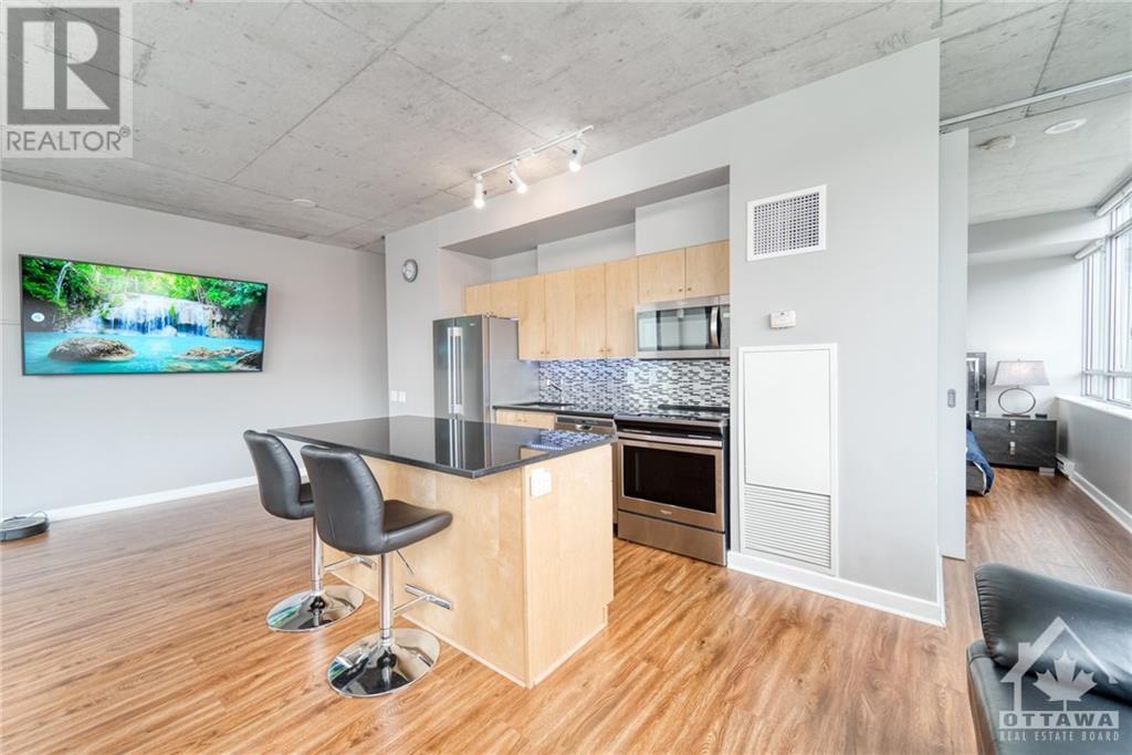 180 York Street Unit#308, Ottawa, Ontario  K1N 1J6 - Photo 13 - 1367559