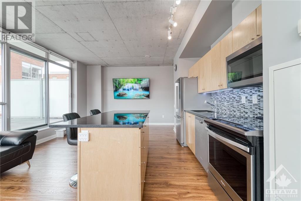 180 York Street Unit#308, Ottawa, Ontario  K1N 1J6 - Photo 14 - 1367559