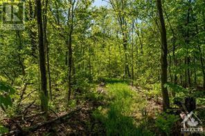 1 Meadow Lane Road, Cumberland, Ontario  K4C 1G7 - Photo 4 - 1367793