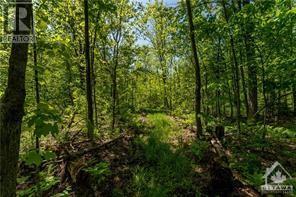 1 Meadow Lane Road, Cumberland, Ontario  K4C 1G7 - Photo 5 - 1367793