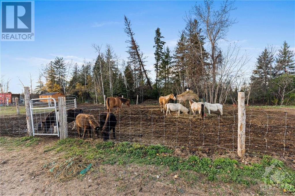 3117 Carp Road, Carp, Ontario  K0A 1L0 - Photo 12 - 1367595