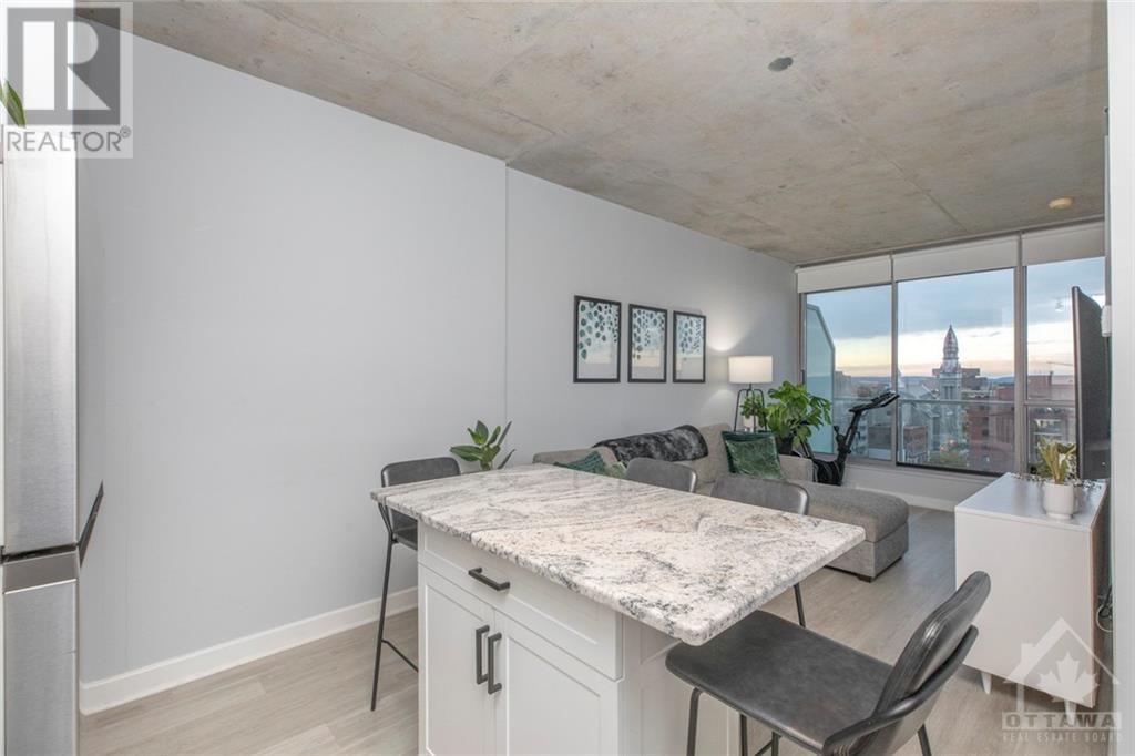 180 York Street Unit#905, Ottawa, Ontario  K1N 1J6 - Photo 14 - 1367780