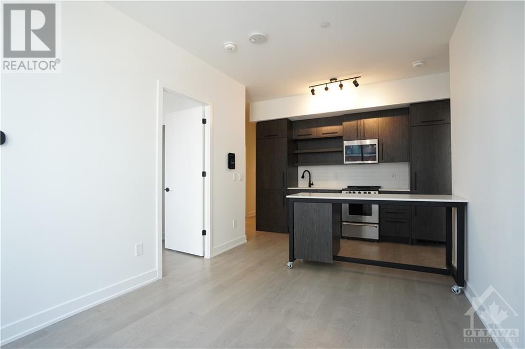 560 Rideau Street Unit#305, Ottawa, Ontario  K1N 5Z8 - Photo 5 - 1367930