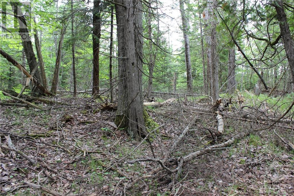 00 3rd Concession Dalhousie Road, Lanark, Ontario  K0G 1K0 - Photo 2 - 1367982