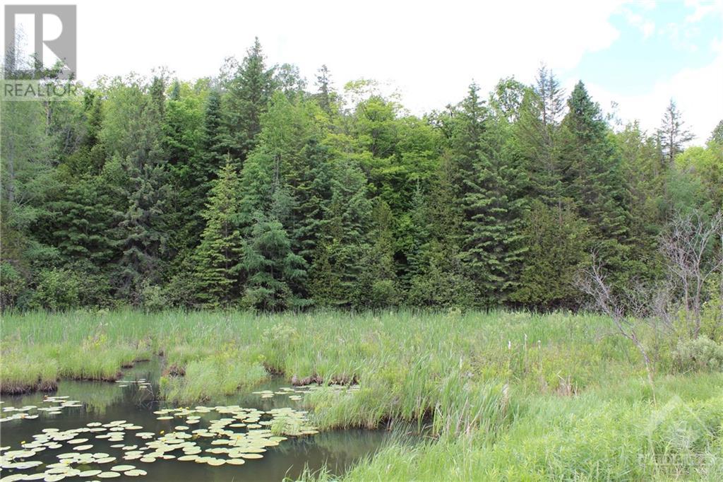 00 3rd Concession Dalhousie Road, Lanark, Ontario  K0G 1K0 - Photo 3 - 1367982