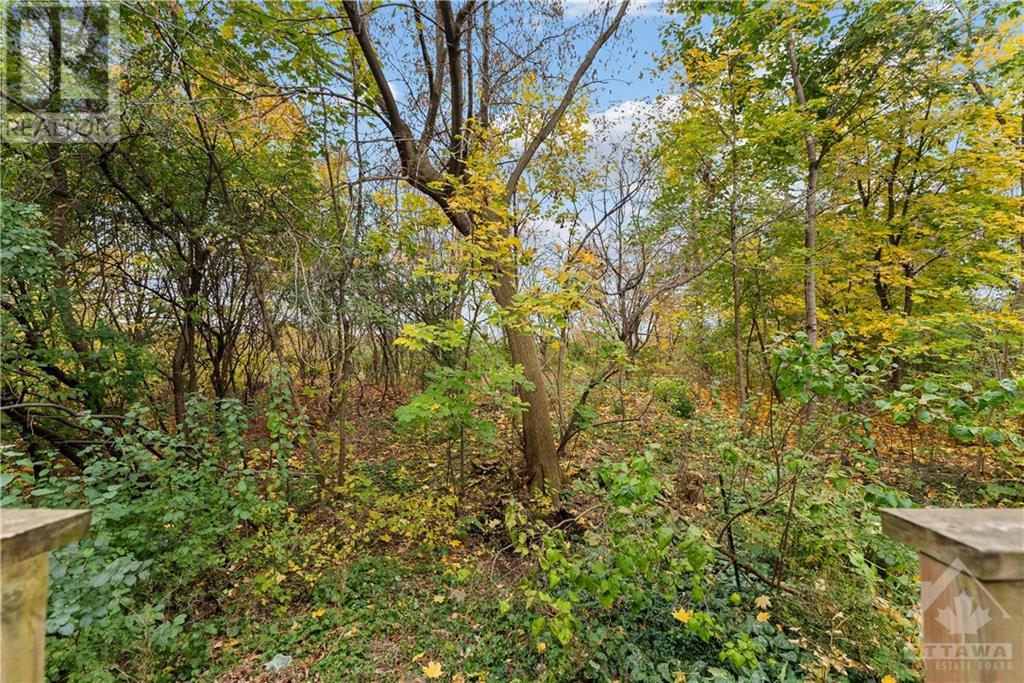 315 Crichton Street, Ottawa, Ontario  K1M 1W3 - Photo 10 - 1367204