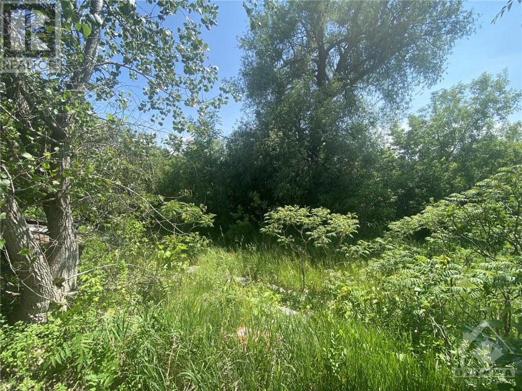 461 Donald B Munro Drive, Carp, Ontario  K0A 1L0 - Photo 15 - 1368014