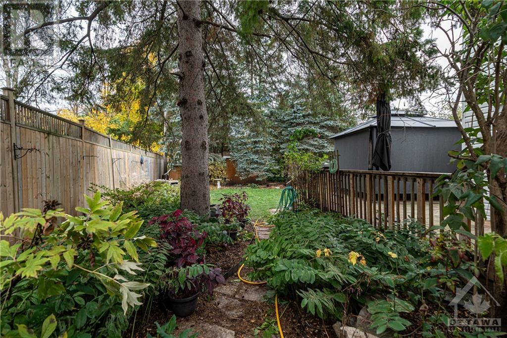 906 Riddell Avenue N, Ottawa, Ontario  K2A 2W2 - Photo 6 - 1368486