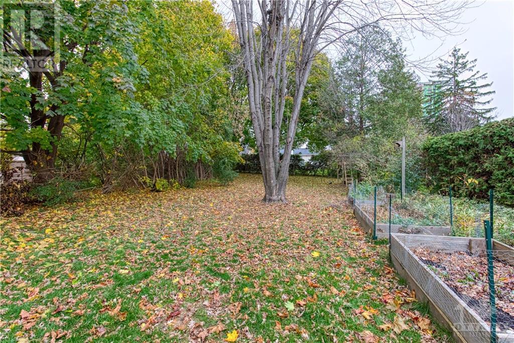 733 Broadview Avenue, Ottawa, Ontario  K2A 2M3 - Photo 17 - 1367808