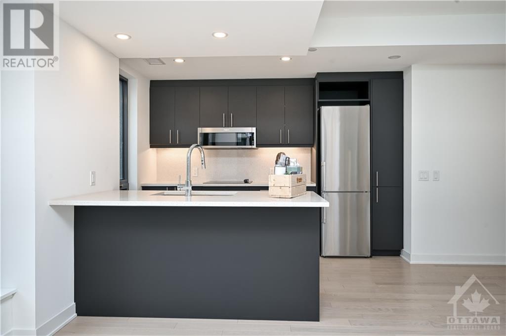 340 Queen Street Unit#1007, Ottawa, Ontario  K1R 0G1 - Photo 10 - 1368573