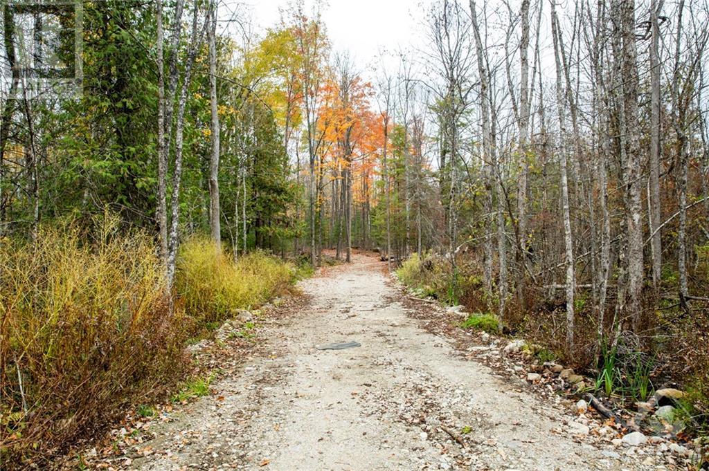 1385 Sheridan Rapids Road, Lanark Highlands, Ontario  K0G 1K0 - Photo 2 - 1369389