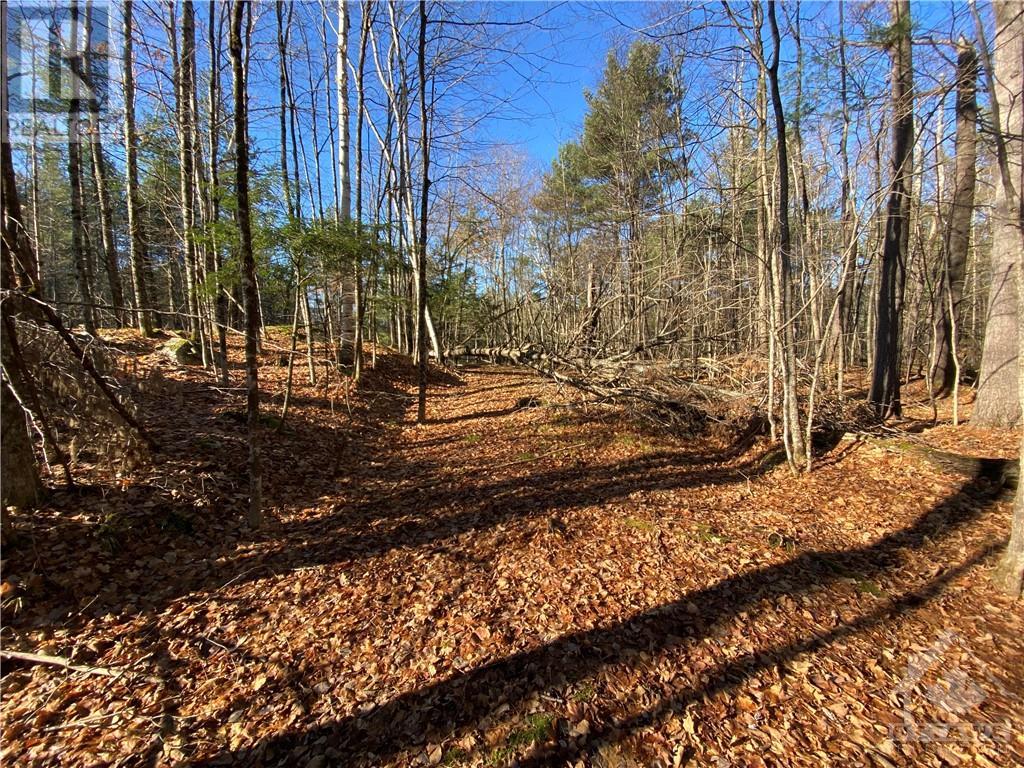 0000 White Cemetery Road, Hopetown, Ontario  K0G 1K0 - Photo 1 - 1369622