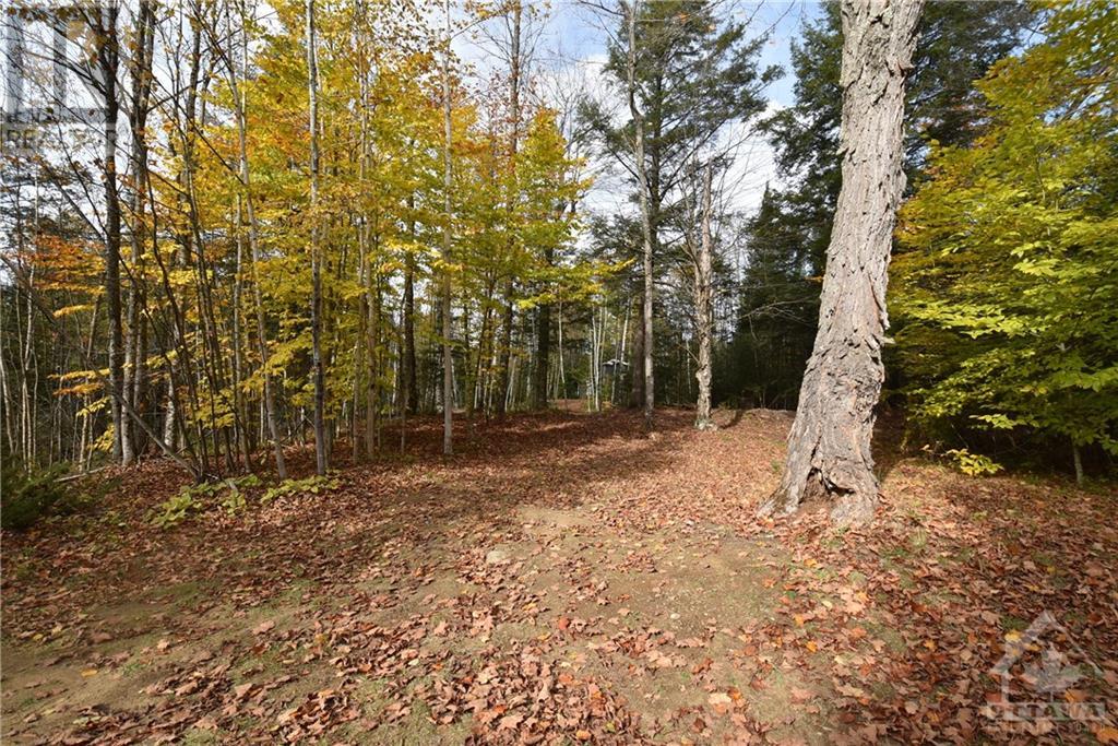 00 Old Government Road, Lanark Highlands, Ontario  K0G 1K0 - Photo 16 - 1369892