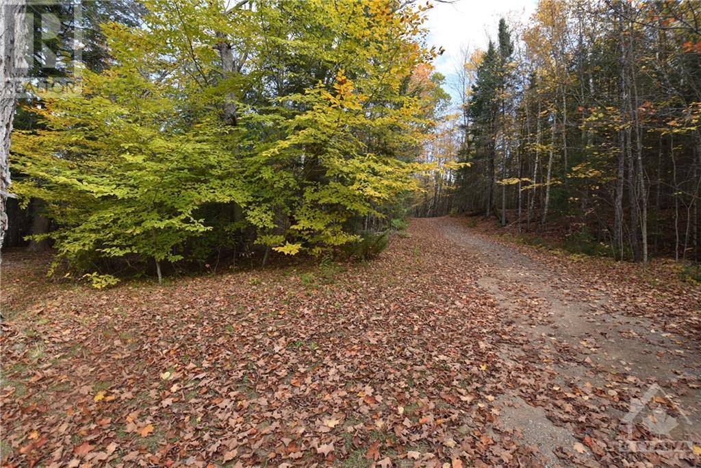 00 Old Government Road, Lanark Highlands, Ontario  K0G 1K0 - Photo 17 - 1369892