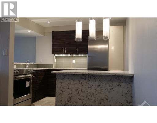 1100 Ambleside Drive Unit#503, Ottawa, Ontario  K2B 8G6 - Photo 6 - 1370045