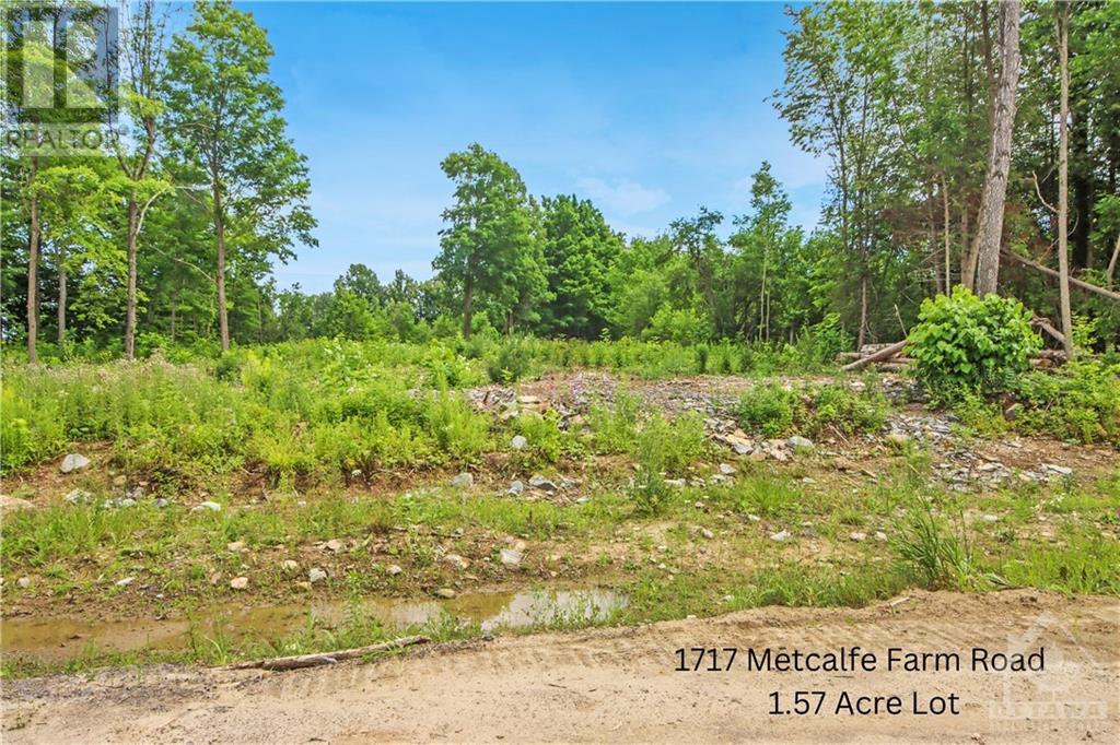 1717 Metcalfe Farm Drive, Metcalfe, Ontario  K0A 2P0 - Photo 3 - 1370204